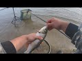 #Ritterfishing #Фидер #Обь Фидерная рыбалка на Обском море. Пошел на рыбалку на рыбалке.