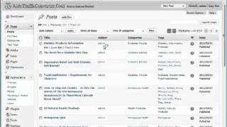 Auto Traffic Converter