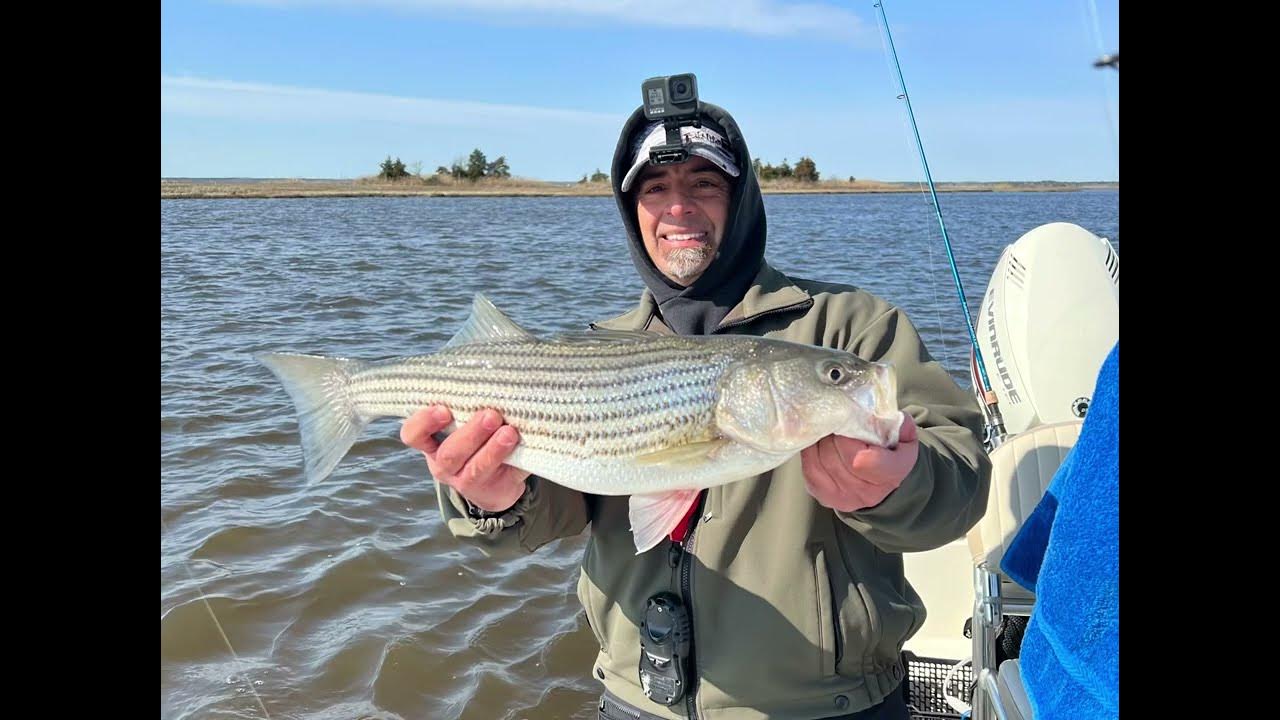 Spring Striper Fishing in South Jersey and the apps & websites I use to