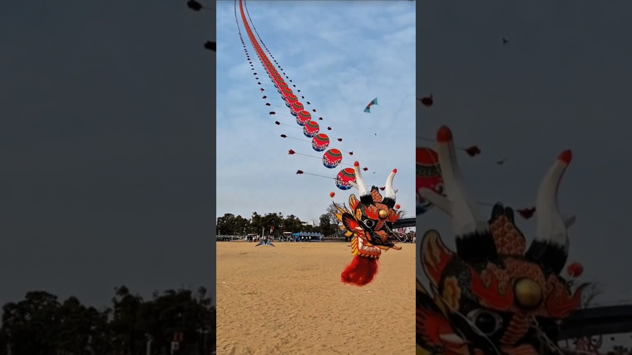 Moment a Dragon Kite Flew Near the Sunset 🌅 