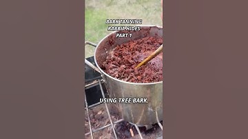 How to bark tan rabbit hides, part 1 #bushcraft #outdoors #survival #hunting #camping
