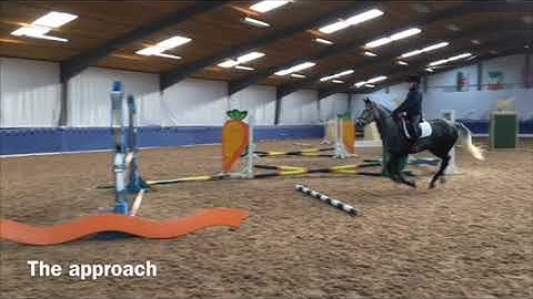 GCSE PE Equestrian 2020