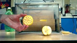 Density: Solids and Holes Demonstration (Apple Slices)