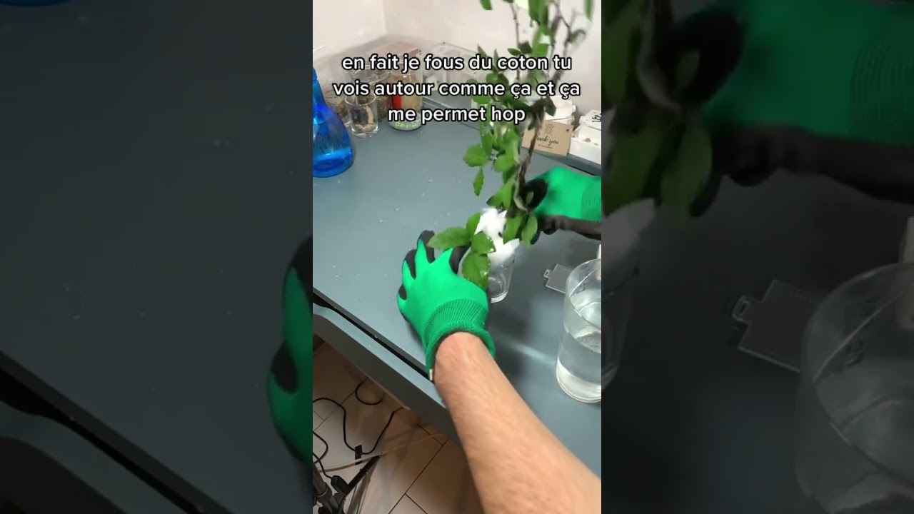 Comment je nourris mes 