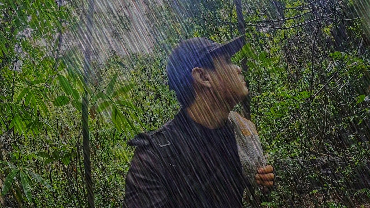 หาหน่อไม้ป่าฤดูฝน ป่ารกมากๆแต่บรรยากาศดีสุดๆ : แอร์แบ็ค