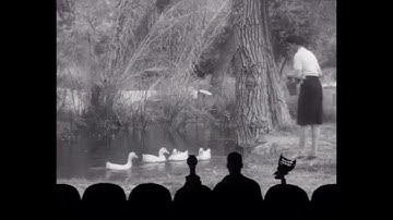 MST3K - The Sinister Urge (duck accomplices scene)
