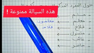 تمارين على الجمع المذكر السالم بالسيالة السحرية !