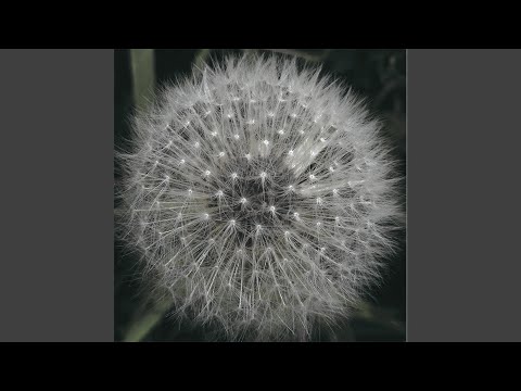 Levitation (2) — Food for Powder