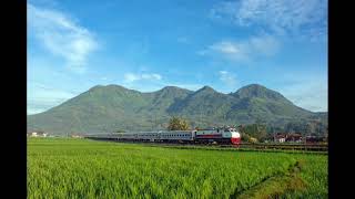 lagu anak Liburan ke desa (music \u0026lyric)