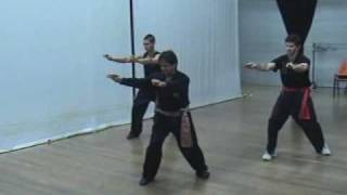 Southern Praying Mantis Kung Fu Chow Gar Sarm Bo Jin Form