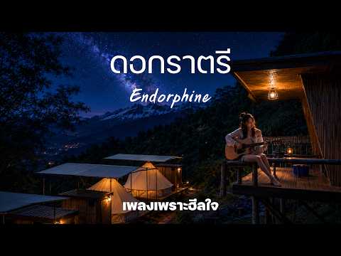 ดอกราตรี - Endorphine | Cover | เพลงเพราะฮีลใจ | เพลงเพราะอารมณ์ผ่อนคลาย