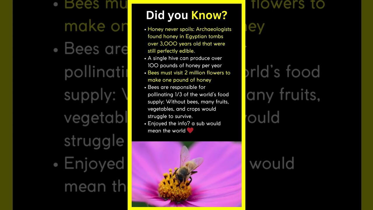 Bees are nature's Superhero 