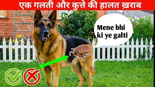 अपने dog ko ticks कैसे बचाये / Tick Home Treatment | Solutions | 100% Results by At Mix 874 views 3 weeks ago 8 minutes, 5 seconds