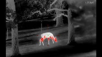 Range Day.  Mars MT1000 LRF Thermal Optic