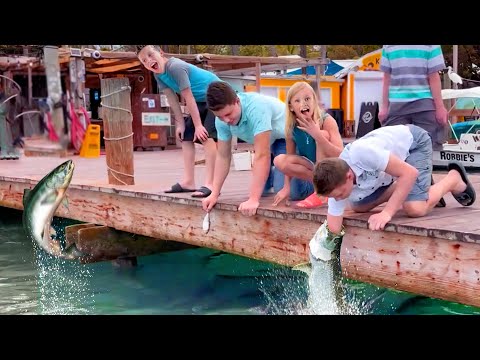 FACING FEAR! Feeding GIANT Fish! Family Trip to Florida Keys