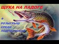 ЩУКА НА ЛАДОГЕ+ РОЗЫГРЫШ.РР4 ,РУССКАЯ РЫБАЛКА 4 .KOT_TV_46