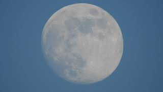 20180527T1930 x83 daylight moon 96.8% sync zproxy and cosmic