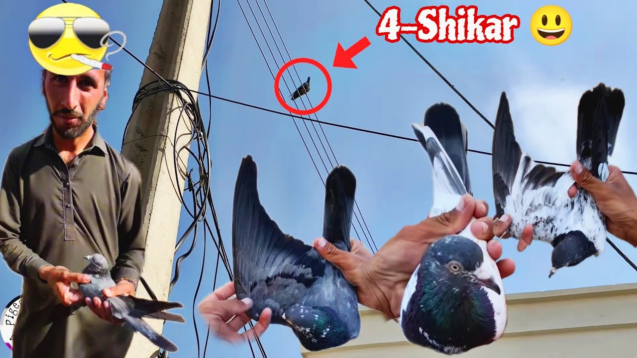 10 мятных Me 3 Kabutar Pakre 😍 Играя с жизнью, я убил воробья 😁