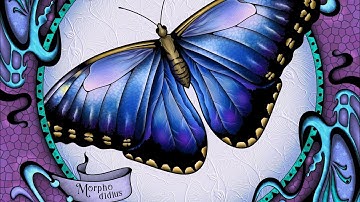Hey Color App Butterfly Collection 06 #paintbynumbers #colorwithme #coloring #relaxing #spring
