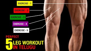 The Perfect 5 Leg workouts in Telugu || Sets and Reps Included