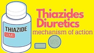 Thiazides Mechanism Of Action *ANIMATED*