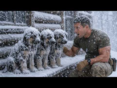 A Navy SEAL Took In 3 Ice-Covered Puppies — Then Two Men Knocked