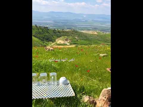 ليه اتعب افكاري بهما وهوجاس Love Beautiful Happy شعر راقي 