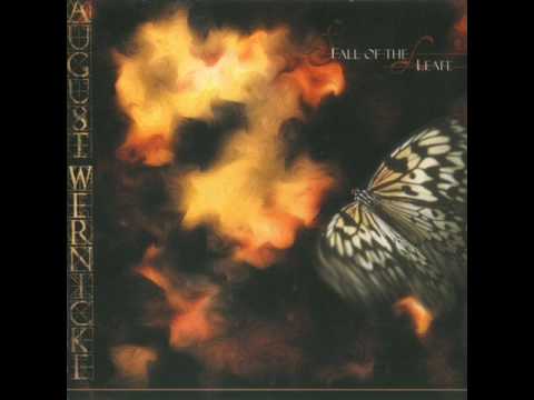 Into The Autumnsphere Video