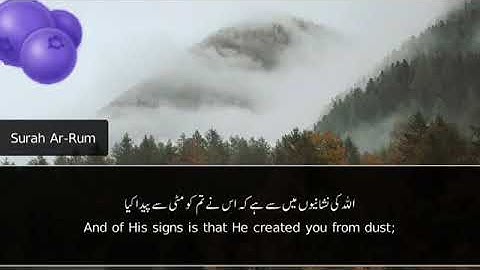 Surah Ar-Rum(30)سورة الروم