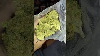 Garlic & Banana from JK Distro.....