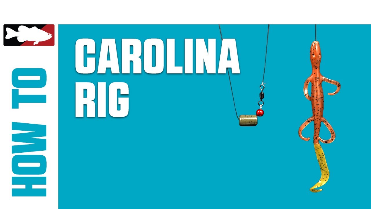 How-To Rig a Carolina-Rig 