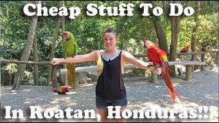Things to do in Roatan, Honduras (West End and West Bay)