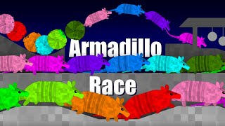 Armadillo Race - Marble Race in Algodoo by RAIDEN 71,876 views 1 year ago 24 minutes