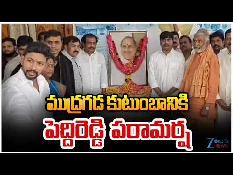 Peddireddy Ramachandra Reddy | YSRCP Leaders Visits Mudragada Padmanabham Family Members | ZEE News - ZEE24TELUGUNEWS