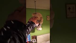 VID 20201122 082511