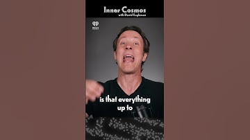 The Flash Lag Illusion | INNER COSMOS WITH DAVID EAGLEMAN #shorts