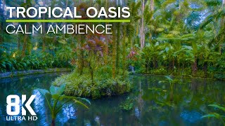 Relaxing Sounds Of A Jungle Forest - 8K Tropical Oasis With Birds Chirping Cicadas Buzzing