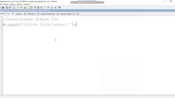 Program For dan While Pada Scilab