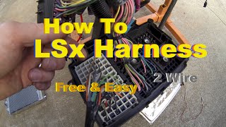 LSx Swap Harness How To Simple & Free DIY Standalone on the Test Stand