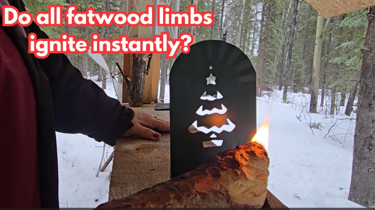Are all fatwoods created equal? Testing a fatwood limb from my off grid forest