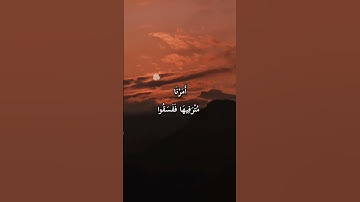 القارئ ابراهيم العياف
