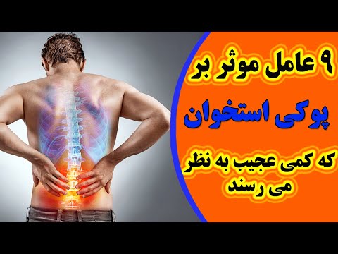 تصویری: چه قارچی خوراکی شرطی محسوب می شود