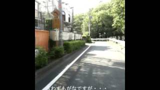 ZRX1100テスト走行