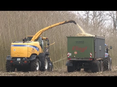Grasernte 2024 häckseln \u0026 silieren - Traktoren fahren Gülle , grubbern, pflügen - Landwirtschaft