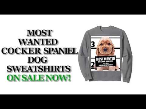 most-wanted-cocker-spaniel-cute-dog-sweatshirts---men's,-women's,-kid's---black,-grey,-dark-heather
