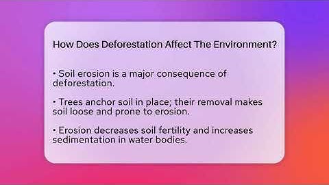 How Does Deforestation Affect The Environment? - Childhood Education Zone