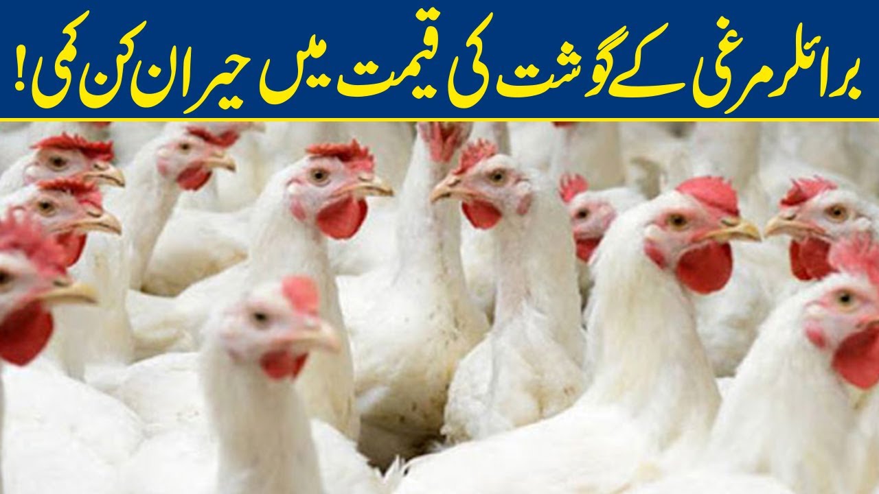 Broiler Chicken Price Drops Down By Rs 16/kg YouTube