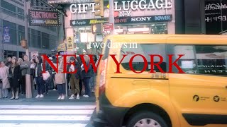 two days in new york
