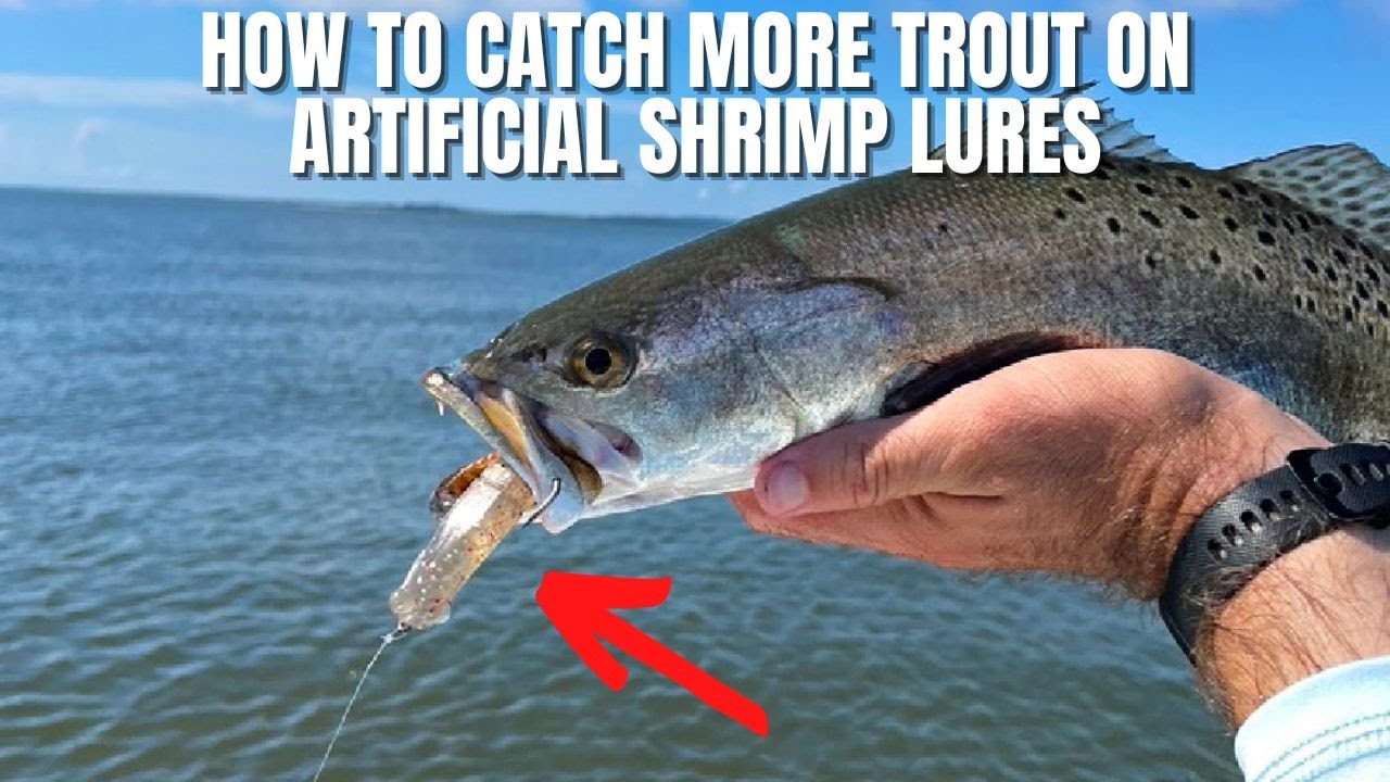 How To Catch MORE Speckled Trout On Artificial Shrimp Lures