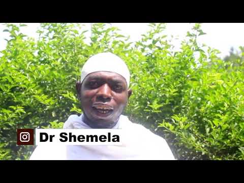 Faida Za Mpera Kwa Kuongeza Nguvu Za Kiume Na Kutibu Uchawi